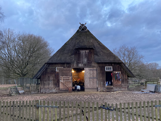 Extérieur Ferienwohnung Ferienwohnung Am Holzfeld 29640 Schneverdingen