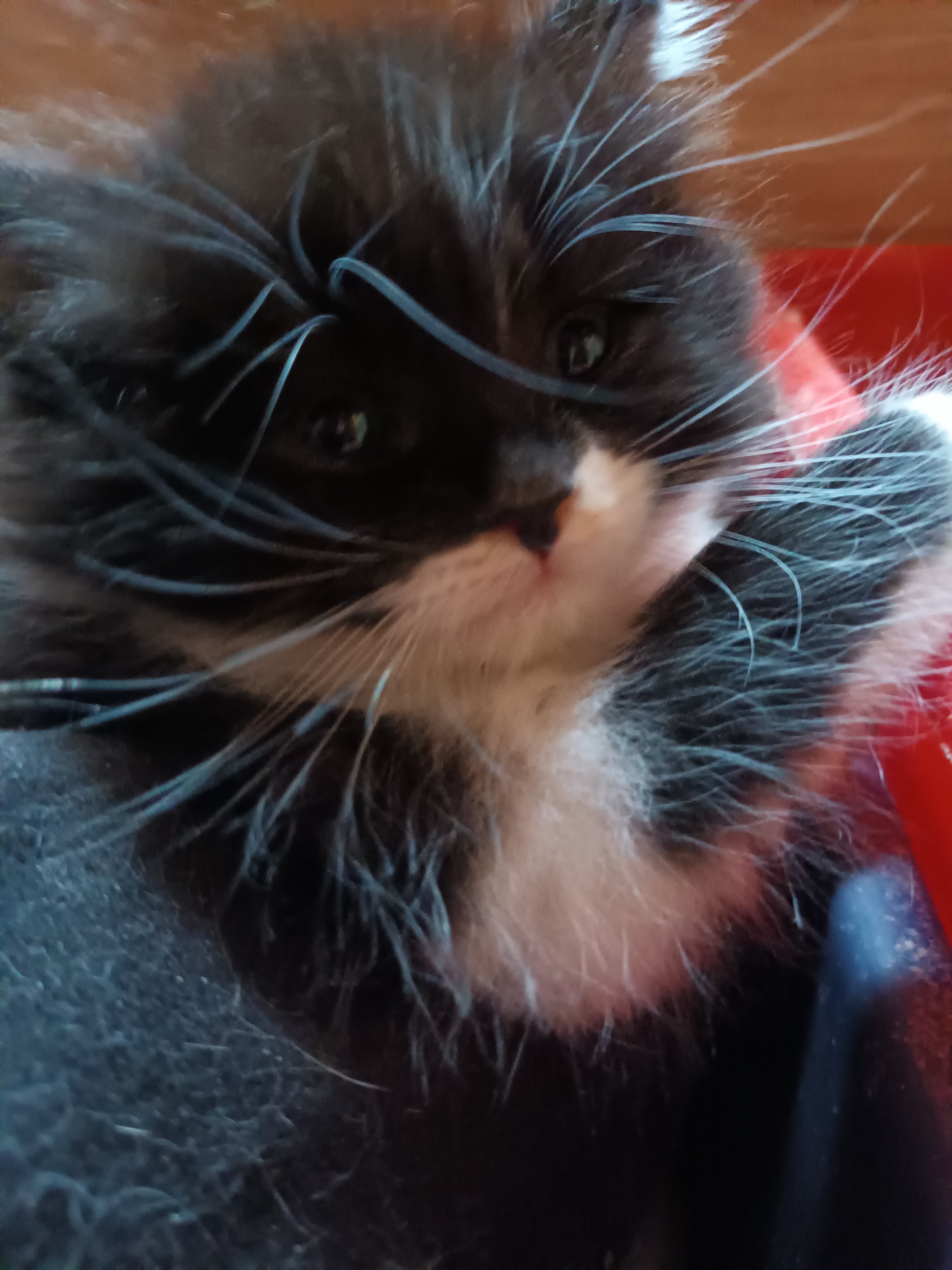 Photo n° 1 de l'avis de Charly.r fait le 13/06/2023 à 17:39