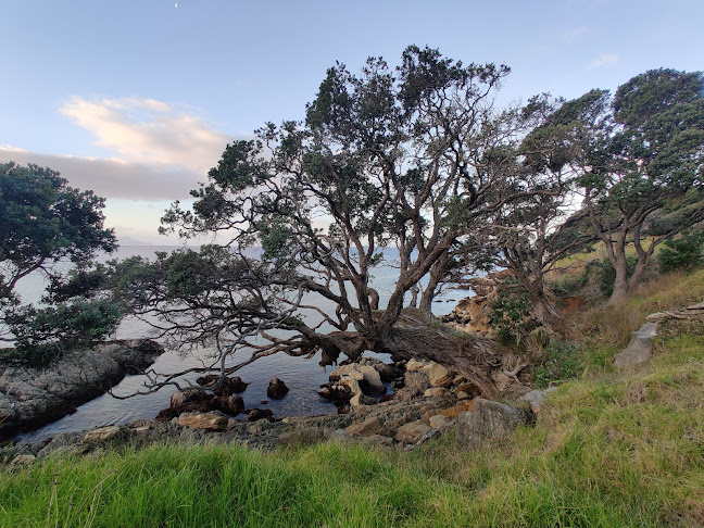 Waipu Coastal Walkway - Other