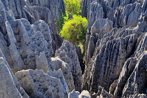 Tsingy De Bemaraha National Park image