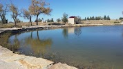 Oasis State Park