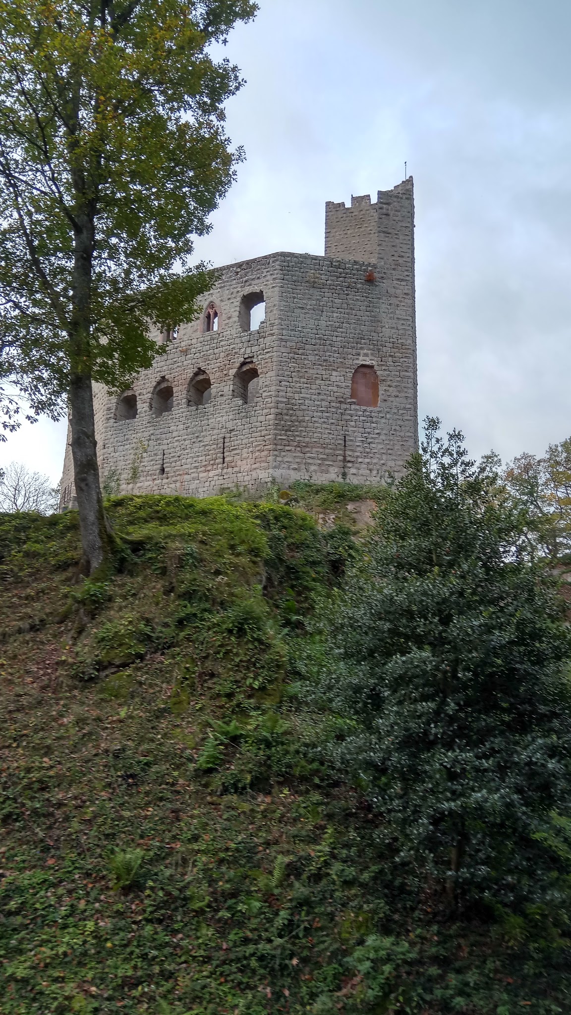 Photo n° 1 de l'avis de raphael.o fait le 31/03/2018 à 16:21