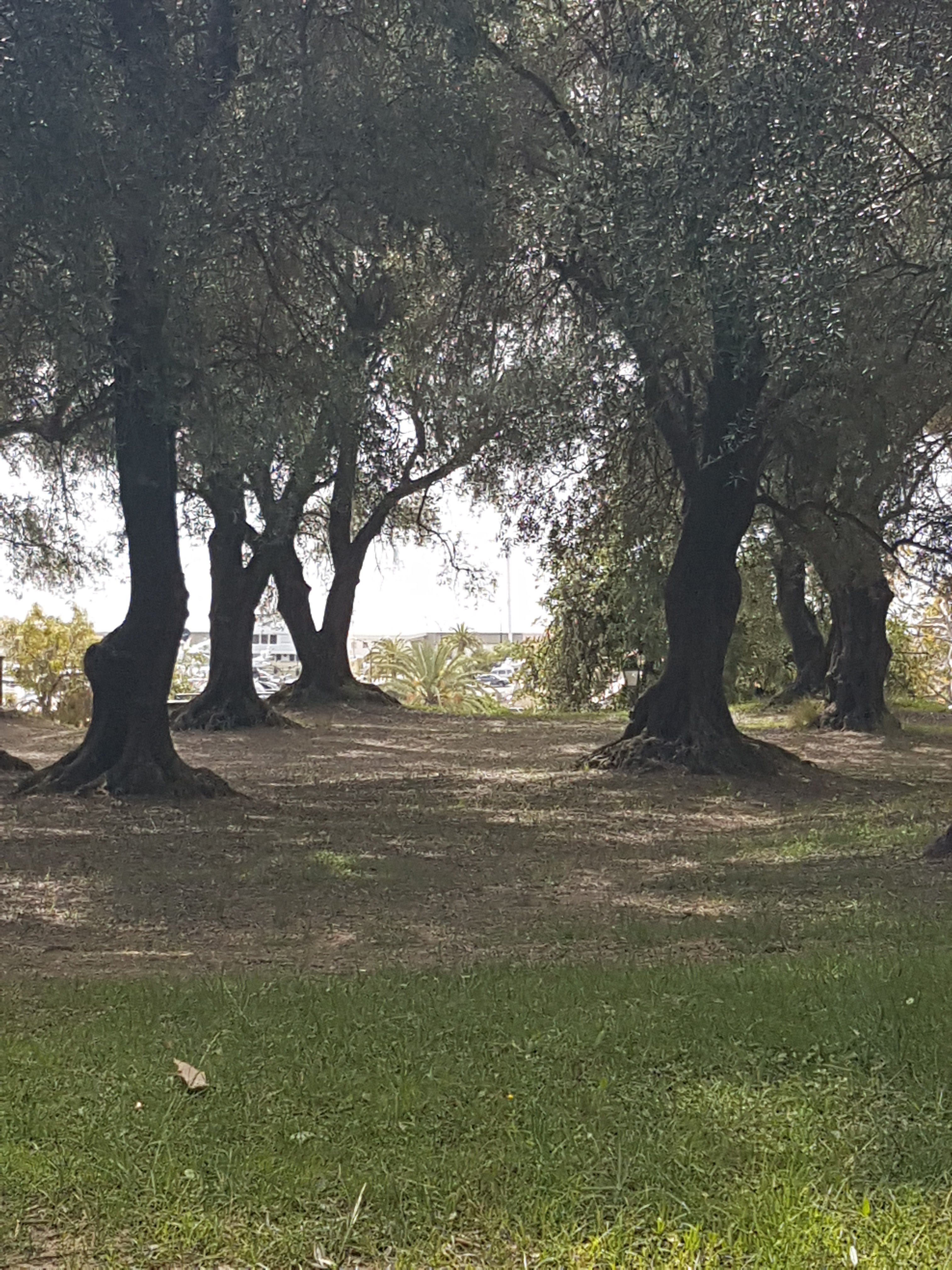 Photo n° 3 de l'avis de Sylvie.o fait le 23/04/2019 à 15:32