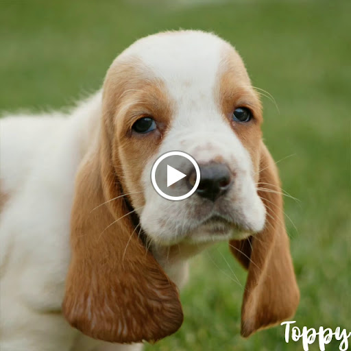 City Government Office «Hawthorne City Hall», reviews and photos