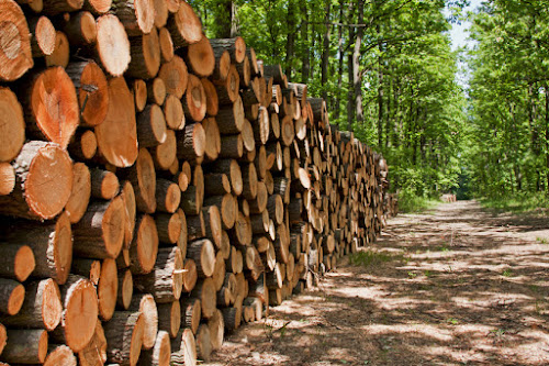 Les Margotins : Bois de chauffage à Beaussais-sur-Mer