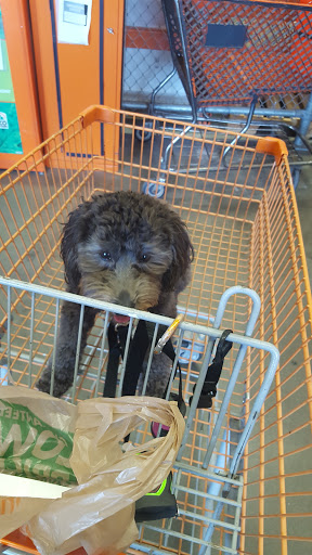 Home Improvement Store «The Home Depot», reviews and photos, 1222 W Hill Rd, Flint, MI 48507, USA