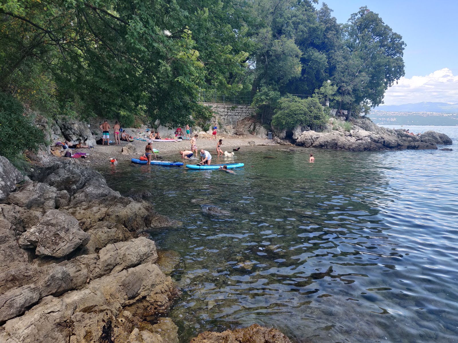 Zdjęcie Lovran Dog Beach z prosta linia brzegowa