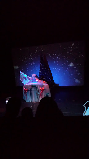 Performing Arts Theater «Endicott Performing Arts Center», reviews and photos, 102 Washington Ave, Endicott, NY 13760, USA