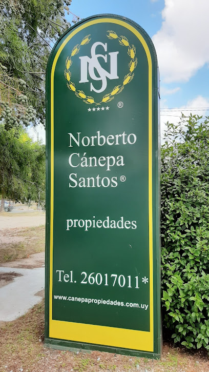 Norberto Canepa Santos Propiedades Industriales, Logisticas y Campos.