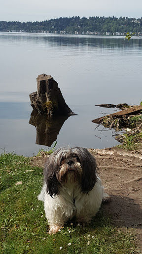 Pet Supply Store «PetSmart», reviews and photos, 13000 Aurora Ave N, Seattle, WA 98133, USA