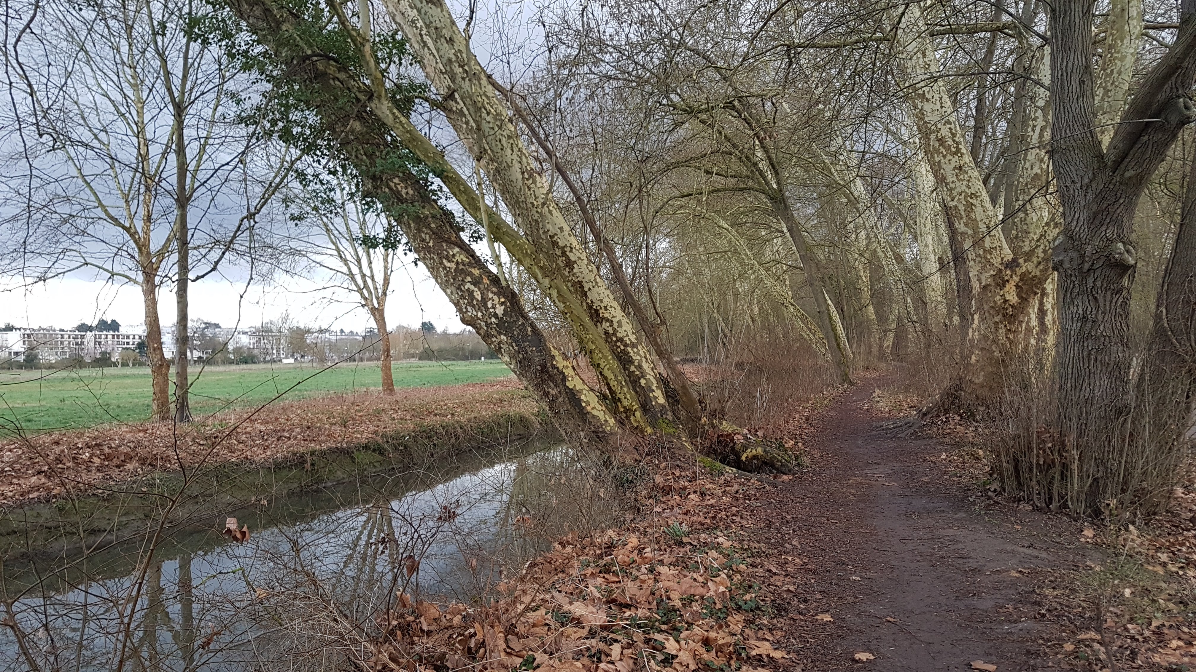 Photo n° 23 de l'avis de Jean-marie.o fait le 06/03/2019 à 12:51