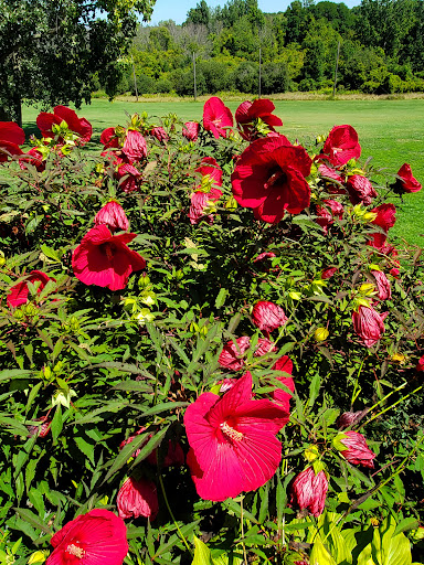 Golf Course «Gothic Hill Golf Course», reviews and photos, 5477 Niagara Street Ext, Lockport, NY 14094, USA