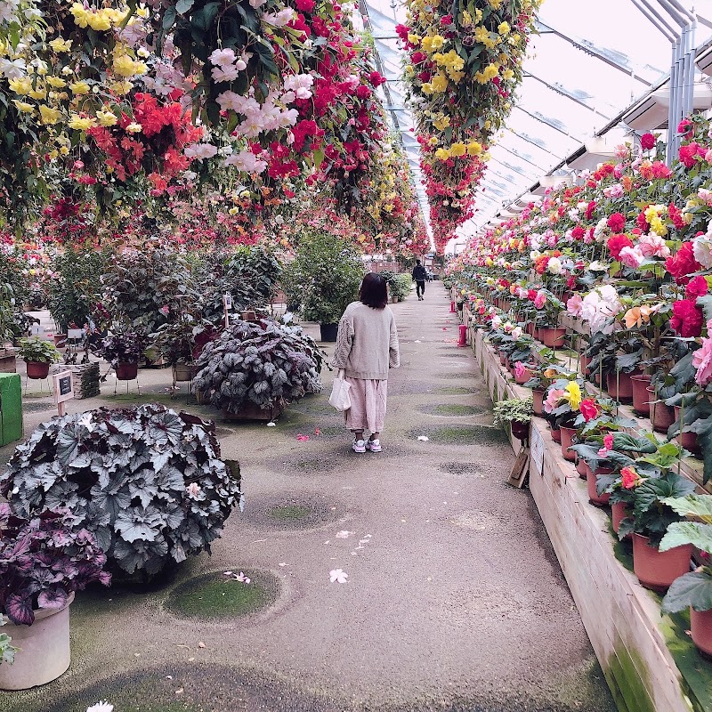 日光花いちもんめ 栃木県日光市小佐越 植物園 グルコミ