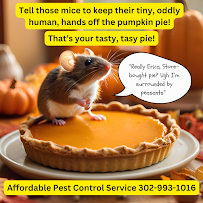 Affordable Pest Control Service - Photo 6 - Car repair in Wilmington, DE, Dover