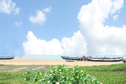 Udappuwa Beach'in fotoğrafı çok temiz temizlik seviyesi ile