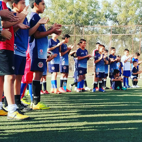 Comentarios y opiniones de Escuela de Fútbol Universidad de Chile La Pintana