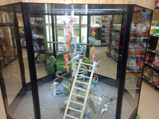 Pet Supply Store «Petco Animal Supplies», reviews and photos, 4665 Garth Rd #400, Baytown, TX 77521, USA