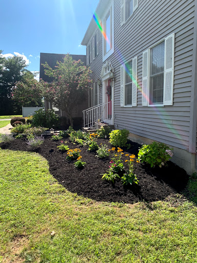 Pristine Green Landscaping image 10