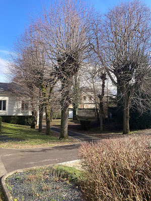 Sous-Préfecture de Sens à Sens