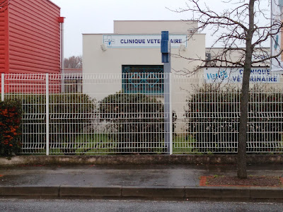 Demorieux Véronique à La Salvetat-Saint-Gilles
