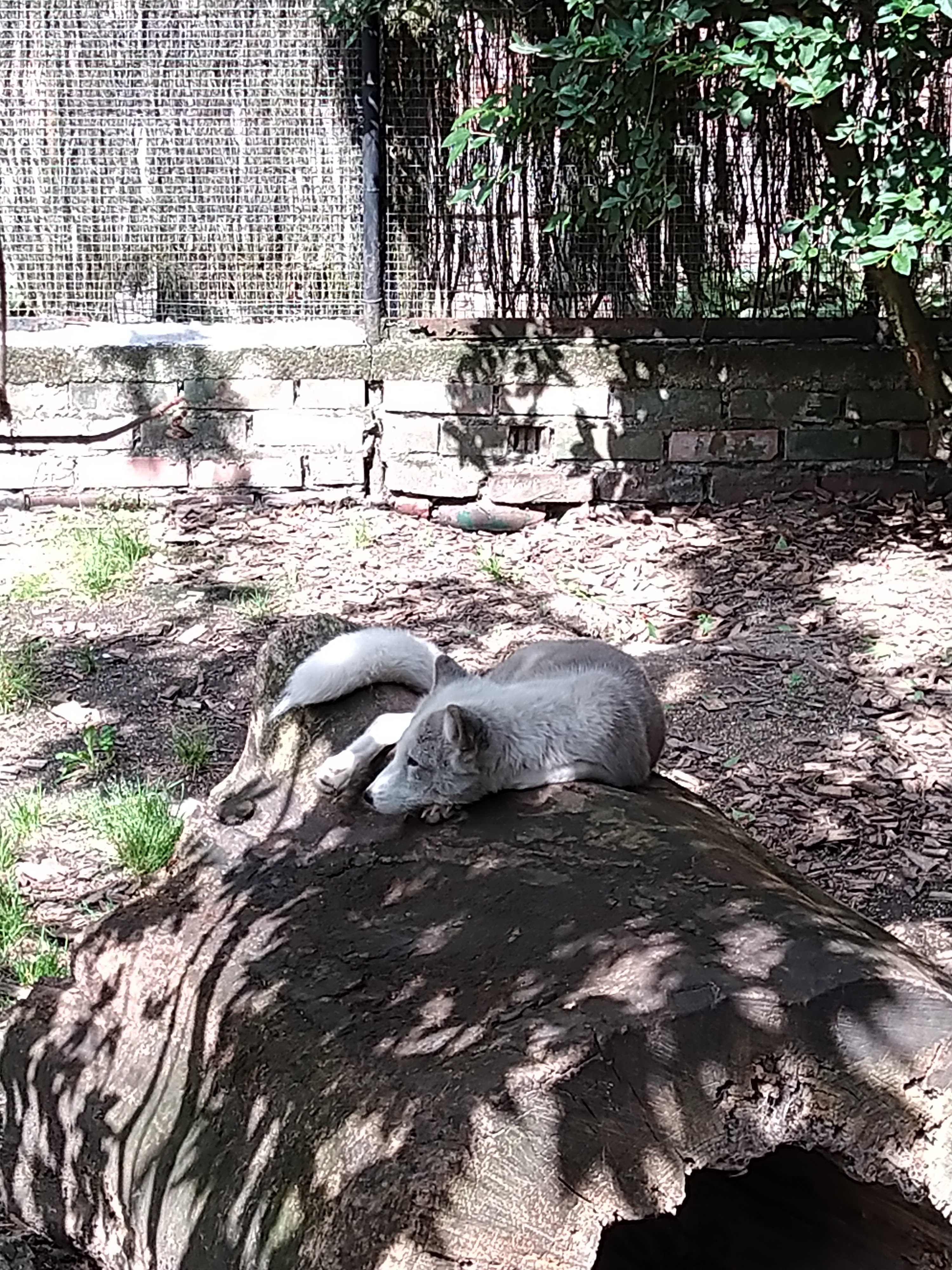 Photo n° 5 de l'avis de HardLoSeDa. fait le 15/08/2019 à 14:36