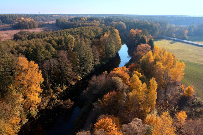 Augustów org Augustowski portal informacyjny - Augustów