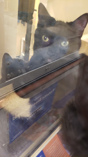 Pet Supply Store «PetSmart», reviews and photos, 3425 Amelia Dr, Orchard Park, NY 14127, USA