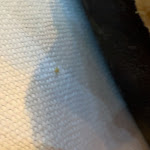 Photo n°1 de l'avis de Gabriele.o fait le 29/10/2023 à 18:23 sur le  Beato Te Milano à Milan