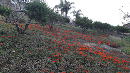 Golf Course «Encinitas Ranch Golf Course», reviews and photos, 1275 Quail Gardens Dr, Encinitas, CA 92024, USA