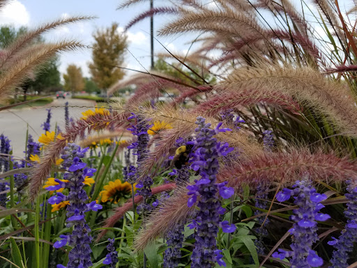 Movie Theater «Cinemark Fort Collins», reviews and photos, 4721 S Timberline Rd, Fort Collins, CO 80525, USA