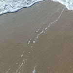 Photo n°3 de l'avis de Michela.u fait le 27/06/2023 à 17:23 sur le  Lido del Sole Bar - Ristorante à Chieuti