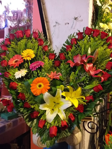 Florería El Paraíso – Tejupilco de Hidalgo