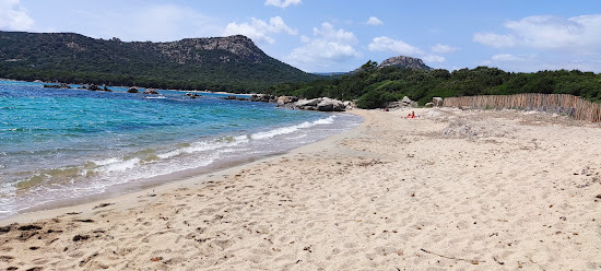 Testa Beach II