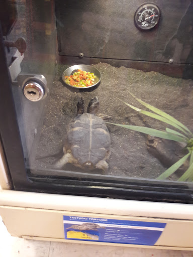 Supermarket «WinCo Foods», reviews and photos, 2850 Pavillion Pkwy, Tracy, CA 95304, USA