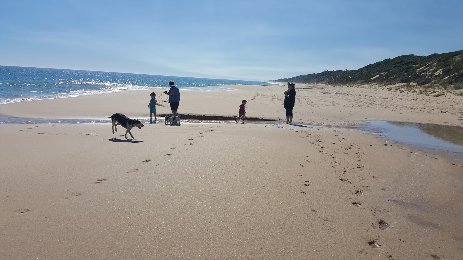 Photo de Dalyellup Beach - bon endroit convivial pour les animaux de compagnie pour les vacances