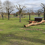 Photo n°3 de l'avis de Thomas.e fait le 16/02/2020 à 19:13 sur le  Haus Waldfrieden à Dülmen