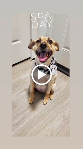 Pet Supply Store «PetSmart», reviews and photos, 3101 Market Center Drive, Morrisville, NC 27560, USA