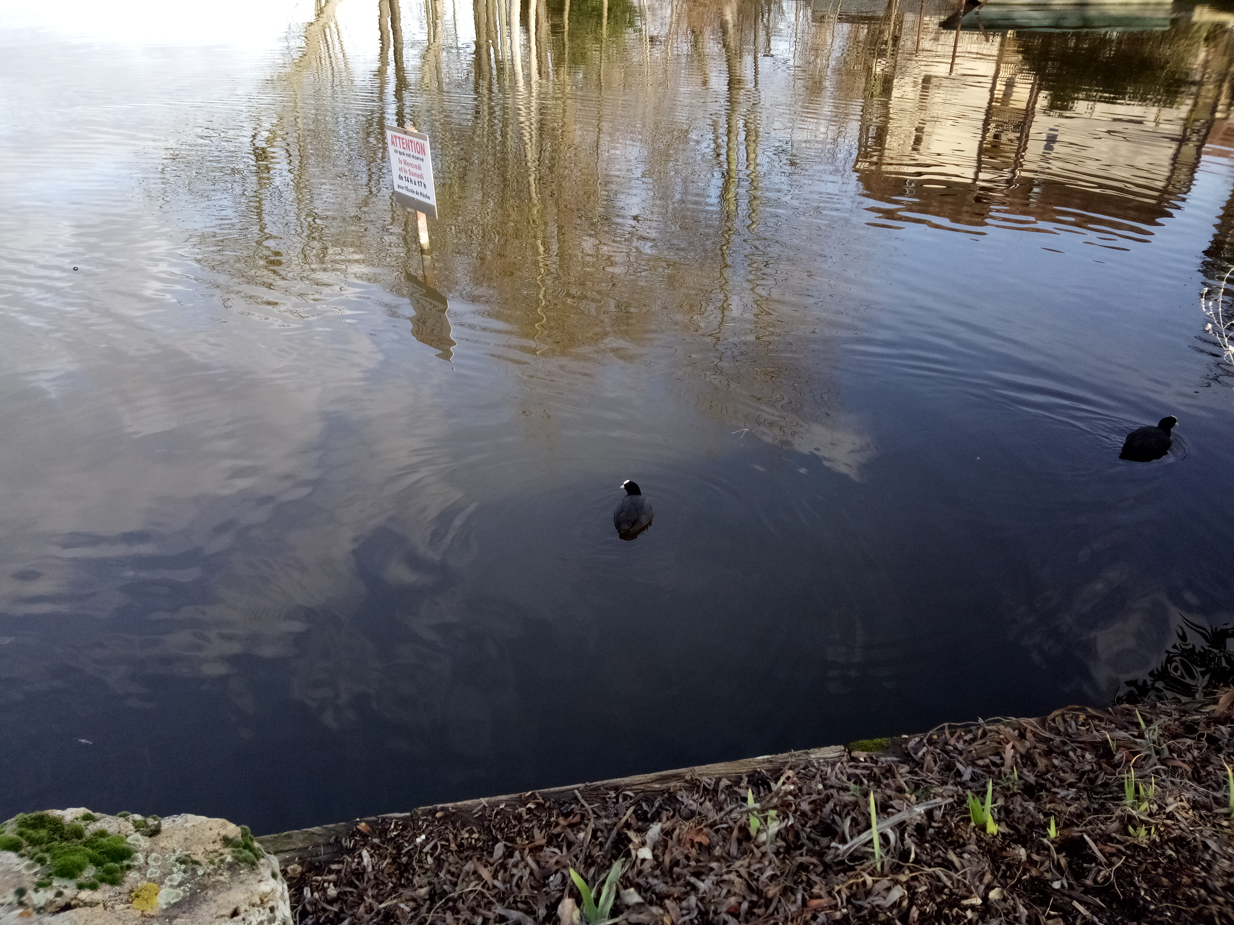 Photo n° 3 de l'avis de Maurice.e fait le 25/06/2019 à 05:13