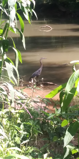 Park «Cochran Shoals - Powers Island», reviews and photos, 5450 Interstate N Pkwy, Sandy Springs, GA 30328, USA