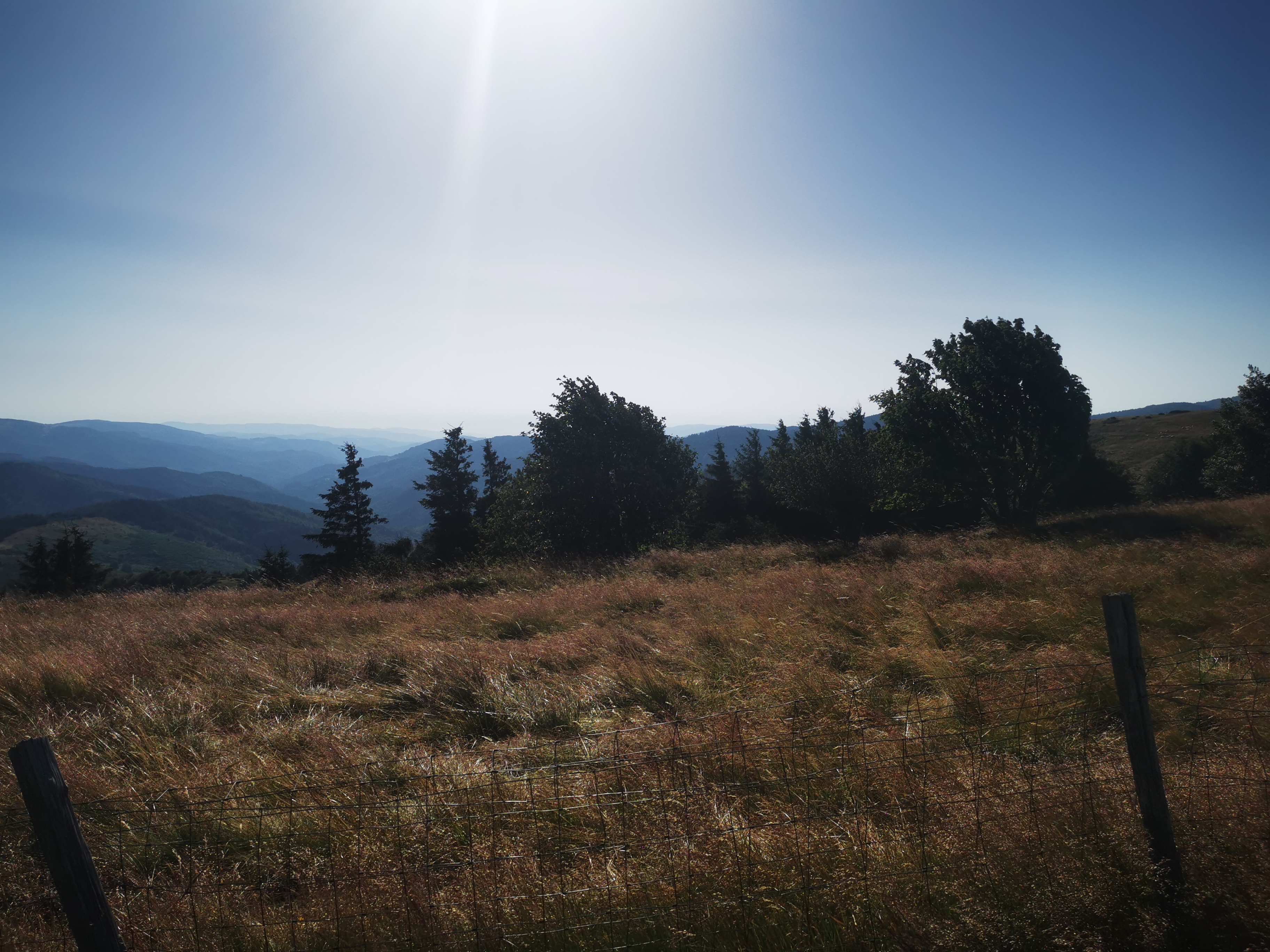 Photo n° 35 de l'avis de Seb. fait le 14/07/2023 à 04:55