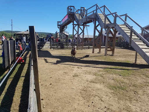 Orchard «Barton Orchards - Noxon Road Store Open Year Round - The Farm is CLOSED for the Season.», reviews and photos, 63 Apple Tree Ln, Poughquag, NY 12570, USA