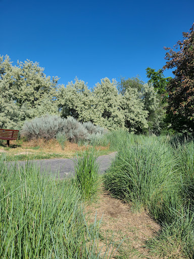 Nature Preserve «Wilson Springs Ponds», reviews and photos, 3209-3507 S Powerline Rd, Nampa, ID 83686, USA