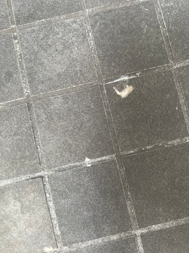 Plumber «Alvarez Plumbing & Air Conditioning», reviews and photos, 1623 S 51st St, Tampa, FL 33619, USA