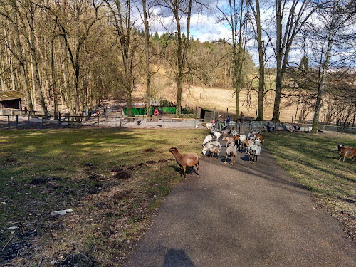 Bretten Zoo à Bretten