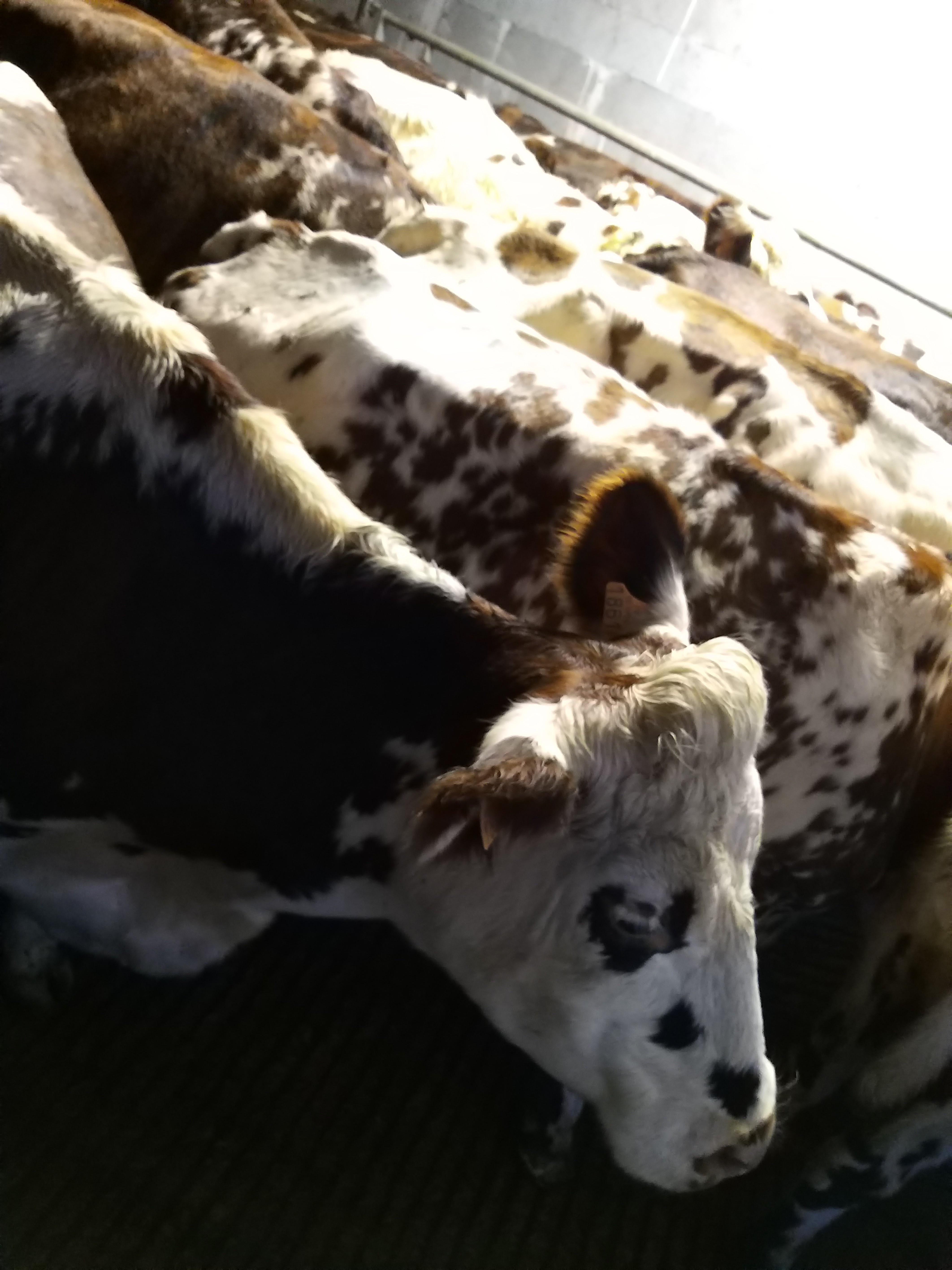 Photo n° 2 de l'avis de Eric.a fait le 11/11/2019 à 19:02