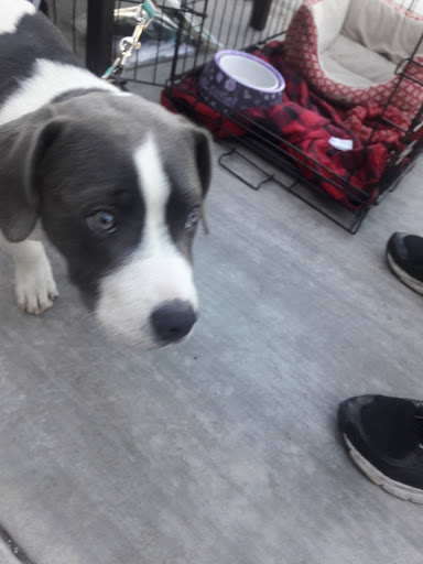 Movie Theater «RoadHouse Cinemas», reviews and photos, 4811 E Grant Rd #150, Tucson, AZ 85712, USA