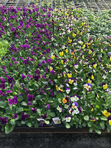 Garden Center «Lake Anna Nursery», reviews and photos, 71 Oak Grove Dr, Mineral, VA 23117, USA