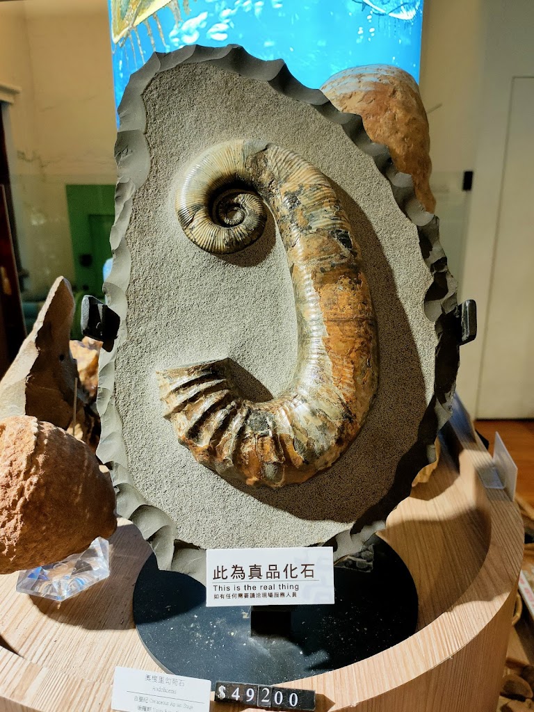 石尚恐龍主題餐廳(臺博古生物館) 的照片