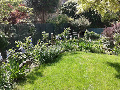 Jardin et Couleurs à La Celle-Saint-Cloud