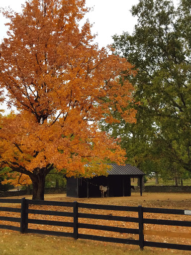 Event Venue «Belle Meade Plantation», reviews and photos, 5025 Harding Pike, Nashville, TN 37205, USA